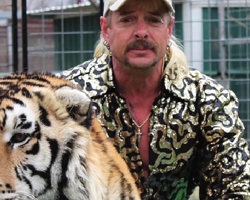 Tiger King: Villi ja vaarallinen tiikeribisnes