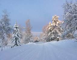 Joulunviettoa Espoossa