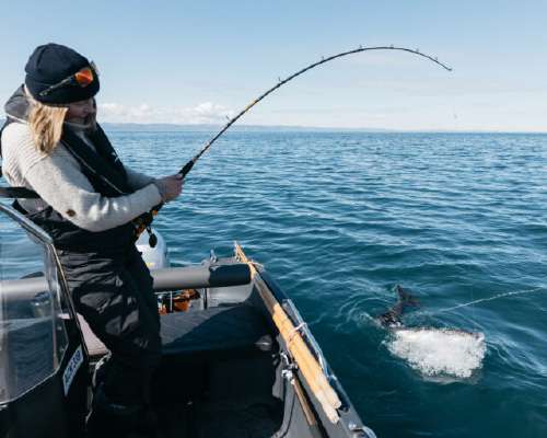 Kalastus Norjassa – parhaat tärpit ja kalapai...