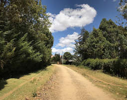 Nature of Nyahururu