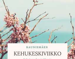Kehukeskiviikko- Always somewhere else