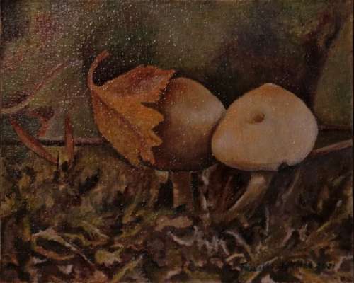 Flaamilainen kerrosmaalaus: Pienet sienet