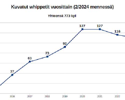 Whippetien tuoreimmat LTV-tilastot (2014 - 2/2024)