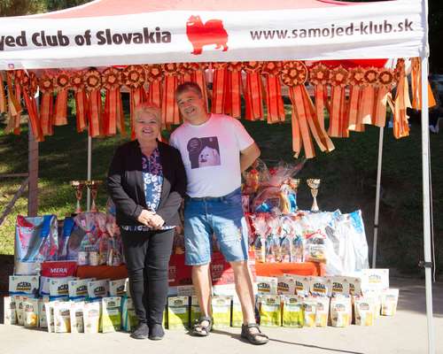 Samojedinkoirien club show Slovakiassa