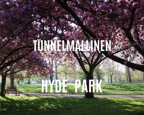 Kevättunnelmaa Lontoon upeassa Hyde Parkissa