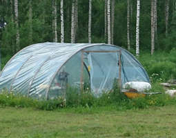Trampoliinista kasvihuone - Trampoline greenhouse