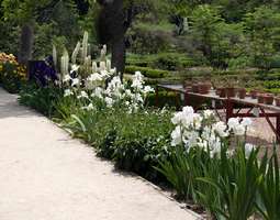 Madrid: Real Jardin Botanica