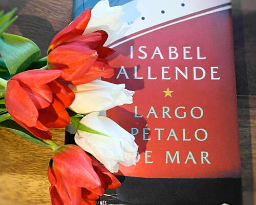 Isabel Allende - Largo pétalo de mar