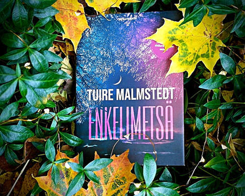 Tuire Malmstedt - Enkelimetsä / Isa Karos #3