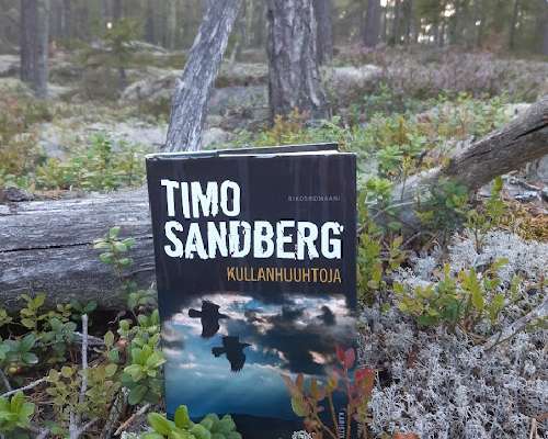 Timo Sandberg: Kullanhuuhtoja