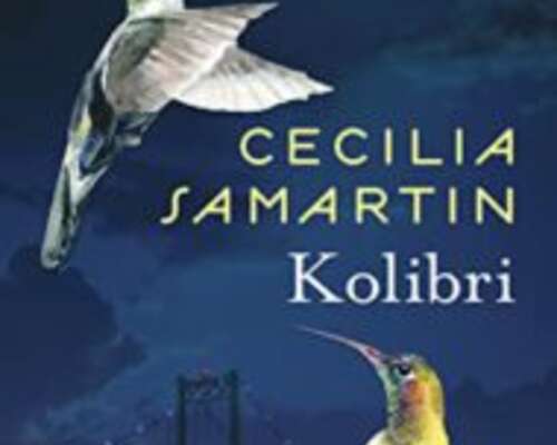 Cecilia Samartin: Kolibri