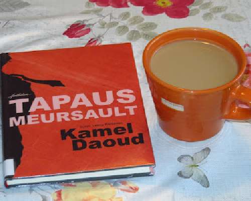 Kamel Daoud: Tapaus Meursault