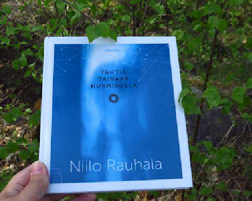Niilo Rauhala: Tähtiä taivaan nurmikolla