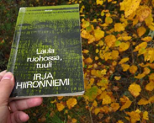 Irja Hiironniemi: Laula ruohossa, tuuli