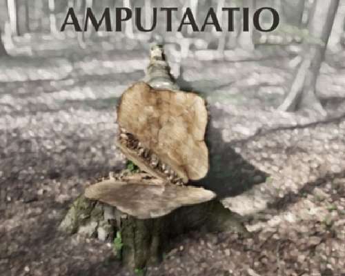 Aija Andersson: Amputaatio