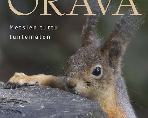 Paavo Hellstedt & Juha Laaksonen: Orava – Met...