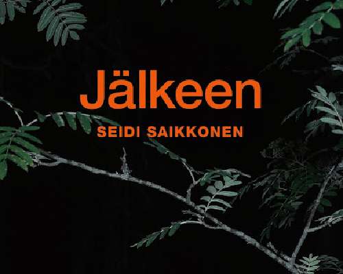 Seidi Saikkonen: Jälkeen