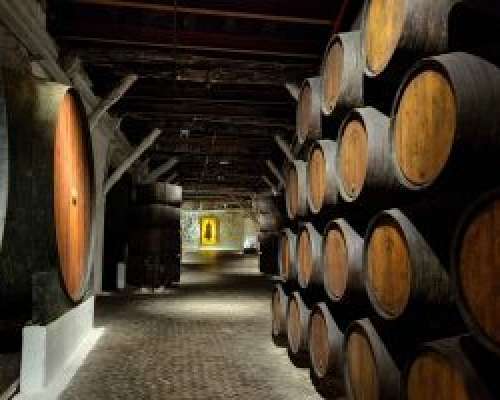 Sandemanin viinikellarit Portossa & portviini...