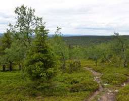 Urho Kekkosen kansallispuisto – Tankavaaran r...