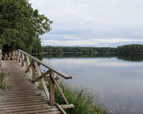 Kesäyö kauniissa Liesjärven kansallispuistossa