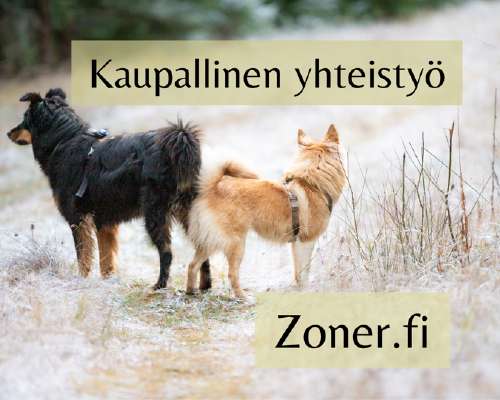 Kaupallinen yhteistyö: Zoner.fi