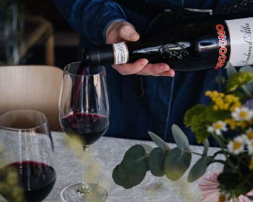 Kuukauden viini: Borgogno Barbera d’Alba