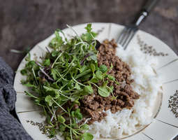 Nopea arkiruoka: Larb-salaatti riisillä