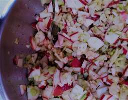 Omena-fenkolisalaatti – kokkaavaisi