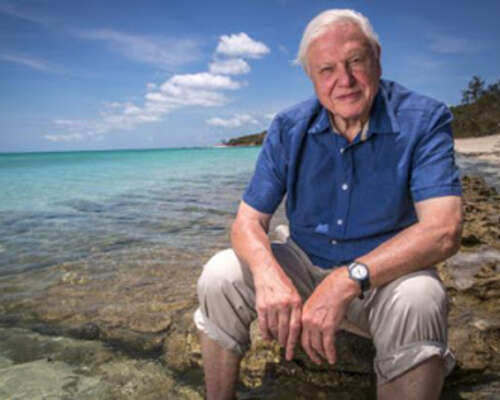 David Attenborough: Elämä planeetallamme