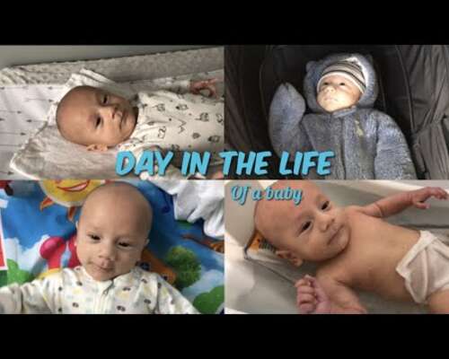 Day in the life of a baby (VIDEO)