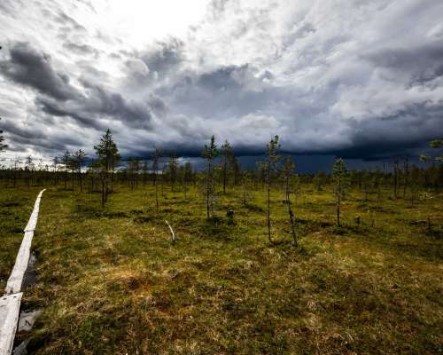 Myrskyreissu Tiilikkajärven kansallispuistoon