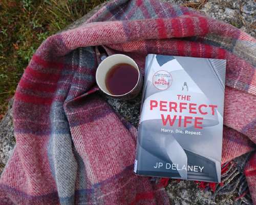 JP Delaney: The Perfect Wife