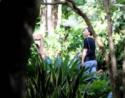 Matkapäivitys 1: Botanical Gardens, Puerto de...