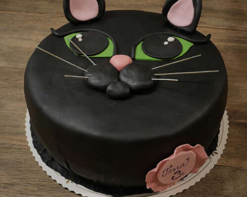 Kissa- ja Nerf-kakku suklaavanukastäytteellä