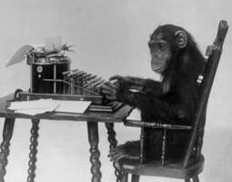 The infinite monkey theorem