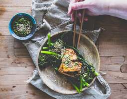 Tofua ja broccoliinia