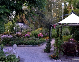 Loppukesän puutarha - Autumnal garden