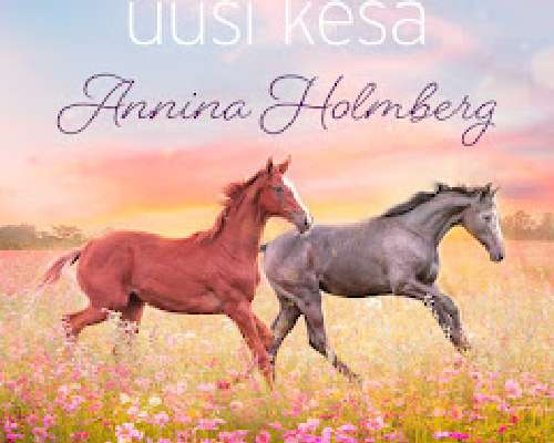 Annina Holmberg: Amor ja uusi kesä