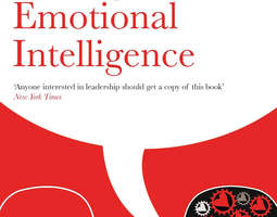 Daniel Goleman - Working with emotional intel...