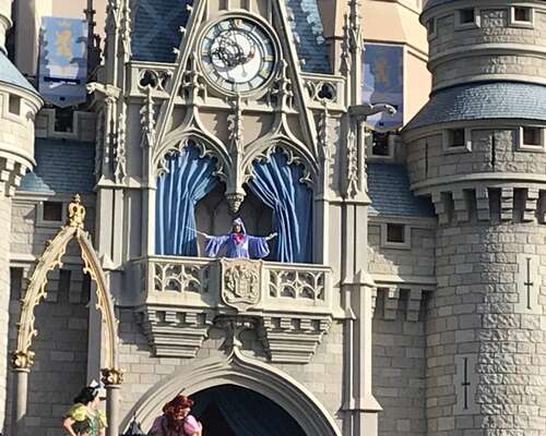 Disney World Magic Kingdom puisto