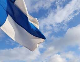 Hyvää itsenäisyyspäivää Suomi ja kaikki maail...
