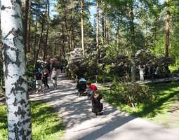 Haagan alppiruusupuisto