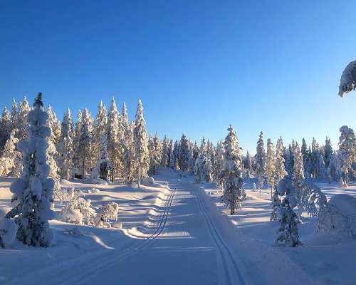 Parhaat hiihtokokemukset Pohjois-Suomen lumilta