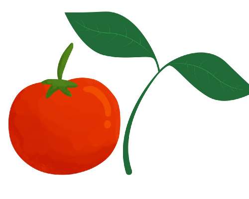 Tomaattien Muuttopäivä