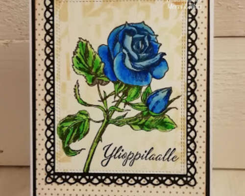 Siniset ruusukortit ylioppilaille