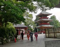Narita: temppeleitä, puutarhakauneutta ja sho...