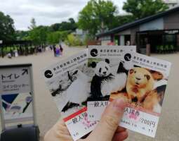 Tokio lasten kanssa: Uenon puisto, eläintarha...