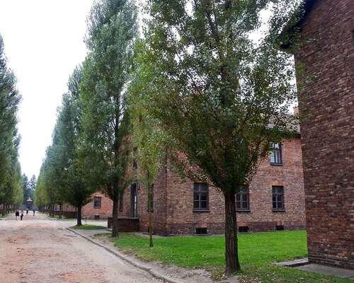 Päivä keskitysleirillä: Auschwitz-Birkenau sa...