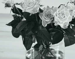 Black&white