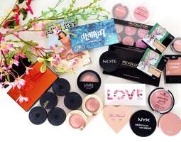 Makeup Declutter - Blushes